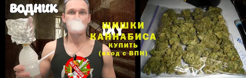 что такое   Боровичи  Марихуана Ganja 